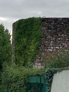 ruine chateau feodal de vailly