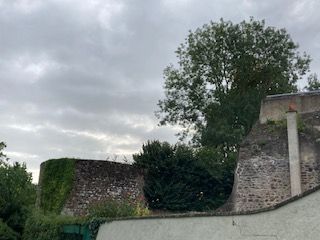 vestiges chateau feodal de vailly